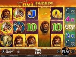 Hot Safari